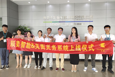 Guangdong Chenyi Intelligent Technology 