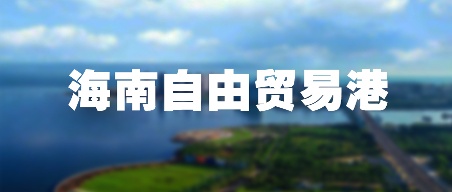 Haikou Customs (Announcement No. 2 of 2021) "Interim Measures for the Customs Implementation of Tax Collection and Administration of Domestic Sales of Value-added Goods Processed in Yangpu Bonded Port Area" (Figure 2)