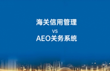 你的ERP能通过海关的“穿行测试”吗？—